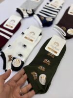 پک ۶ تایی مچی تابان تدی راه راه رنگی - Image 2