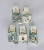 پک۵ تایی ساقدار تابان خرگوش هویج سبز