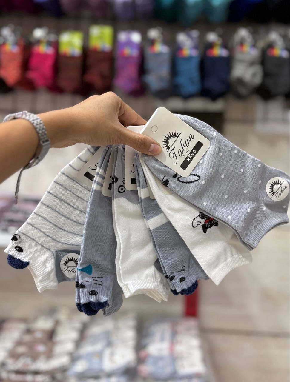 IMG_9952 پک۶تایی مچی طوسی گربه بوکله تابان - Image 1